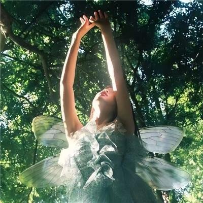 蜡笔小新:我的搬家物语仙人掌大袭击